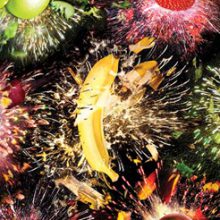 Próximas exposições abrem em maio Próximas exposições abrem em maio