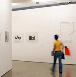 Jorge Guinle: Belo Caos