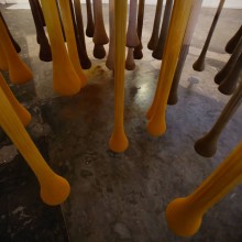 Visita à exposição Alimentário na Oca para Sócios