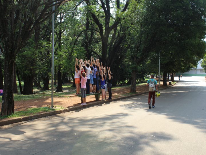 Sinais na Arte 2017 no SESC