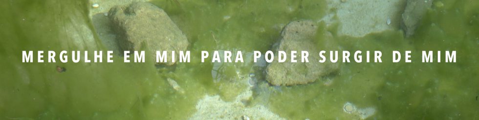 Projeto Parede | “Mergulhe em mim, para poder surgir de mim”
