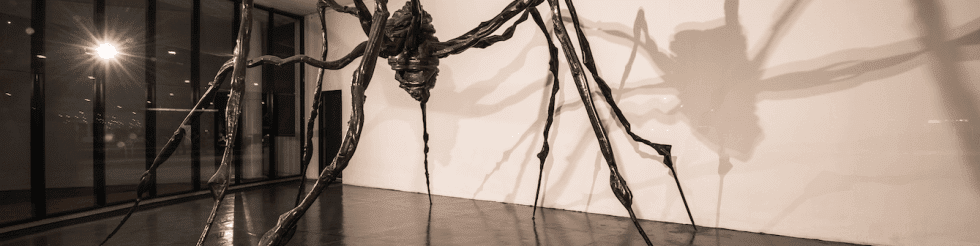 Cadê a aranha que estava aqui?
