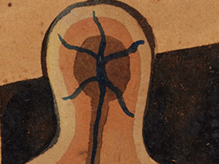 Transexualidade em pauta no MAM
