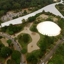 MAM nos 65 anos do Parque Ibirapuera