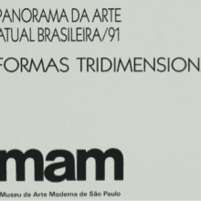 Panorama da Arte Atual Brasileira: Formas Tridimensionais – 1991 Panorama da Arte Atual Brasileira: Formas Tridimensionais – 1991