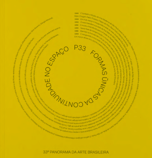 33° Panorama da Arte Brasileira: Formas únicas da continuidade no espaço – 2013