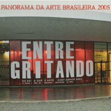 Panorama a Arte Brasileira – 2005