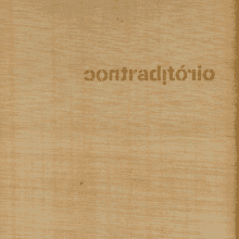 Panorama da Arte Brasileira: Contraditório – 2007