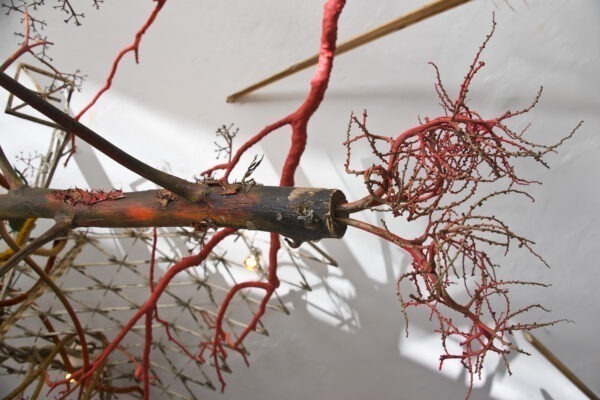 Encontro com os artistas e visita guiada à exposição Zona da Mata (MAM e MAC USP)