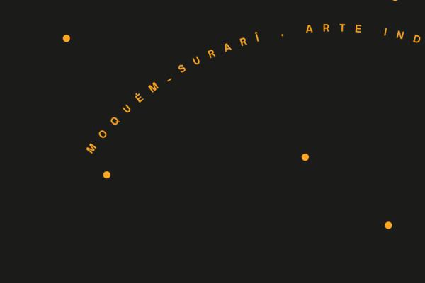 Moquém_Surarî: arte indígena contemporânea