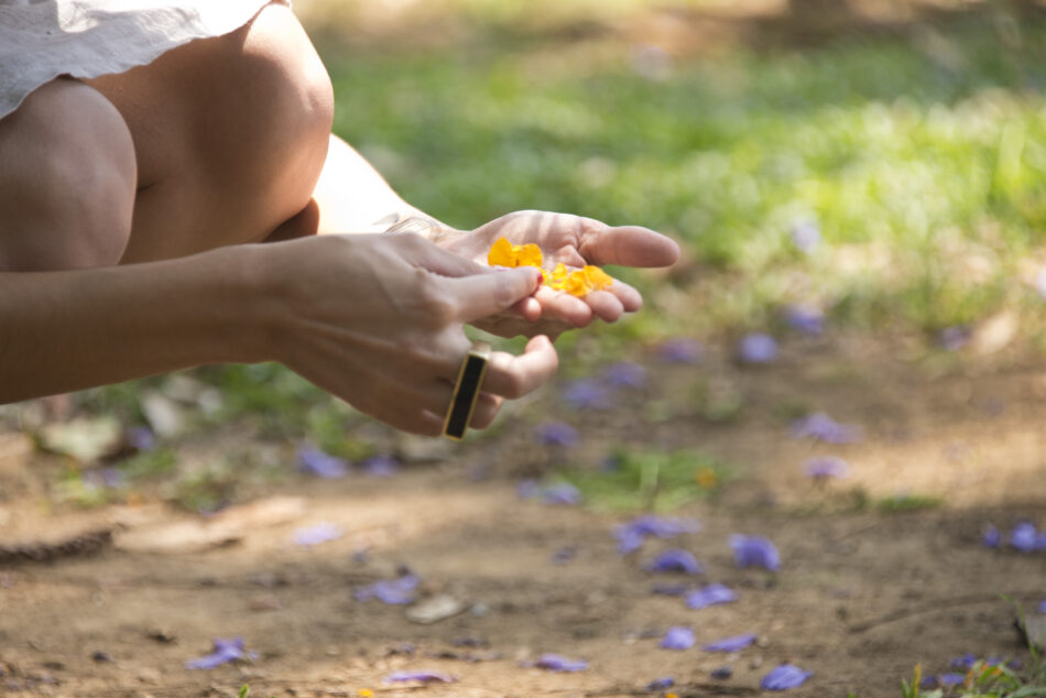 caminhada de observação de plantas do entorno do MAM, com Assucena Tupiassú