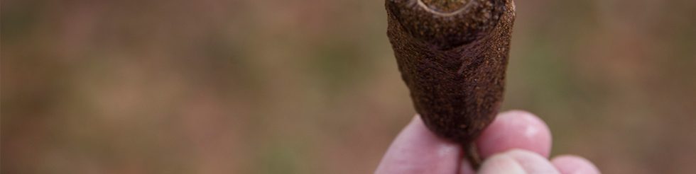 oficina de autorretrato com elementos da natureza, com MAM educativo
