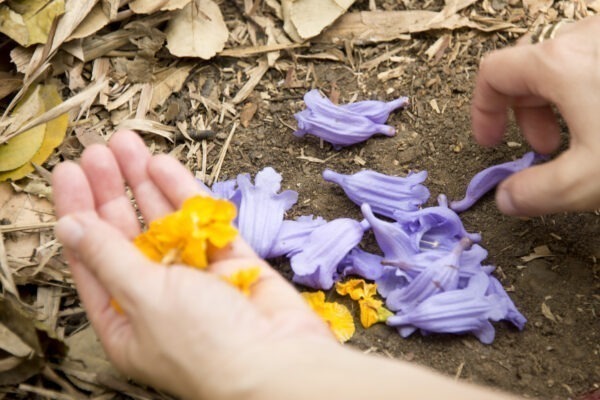 Ateliê Ninho: criação de passarinhos com elementos da natureza, oficina presencial com MAM Educativo