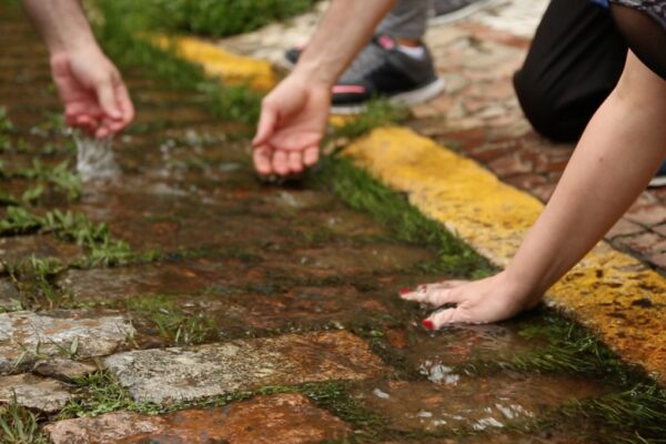Caminhada pelas Águas do Ibirapuera: passeio pelo percurso do córrego do sapateiro com Rios e Ruas
