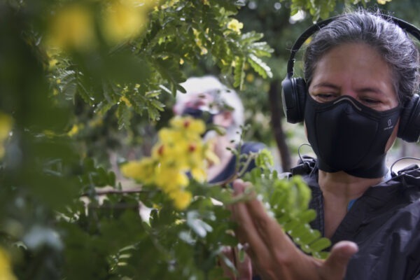 Caminhada de identificação de plantas alimentícias não-convencionais no Parque Ibirapuera com Assucena Tupiassú
