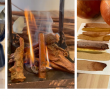 Cozinha da cor – inverno: Tintas naturais produzidas junto ao fogo com Denise Valarini e Rayssa Oliveira