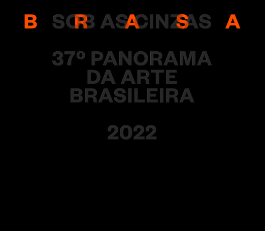 37º Panorama da Arte Brasileira