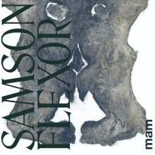 Samson Flexor: além do moderno