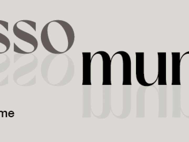 Dez Anos do Núcleo Contemporâneo