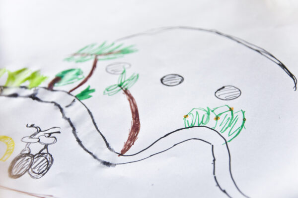 Desenho de observação das plantas presentes no Jardim de Esculturas, com MAM Educativo