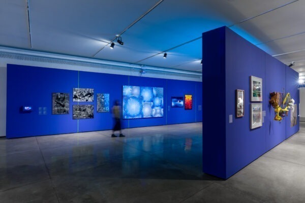 Percurso poético musical na exposição, com Tamara David e MAM Educativo