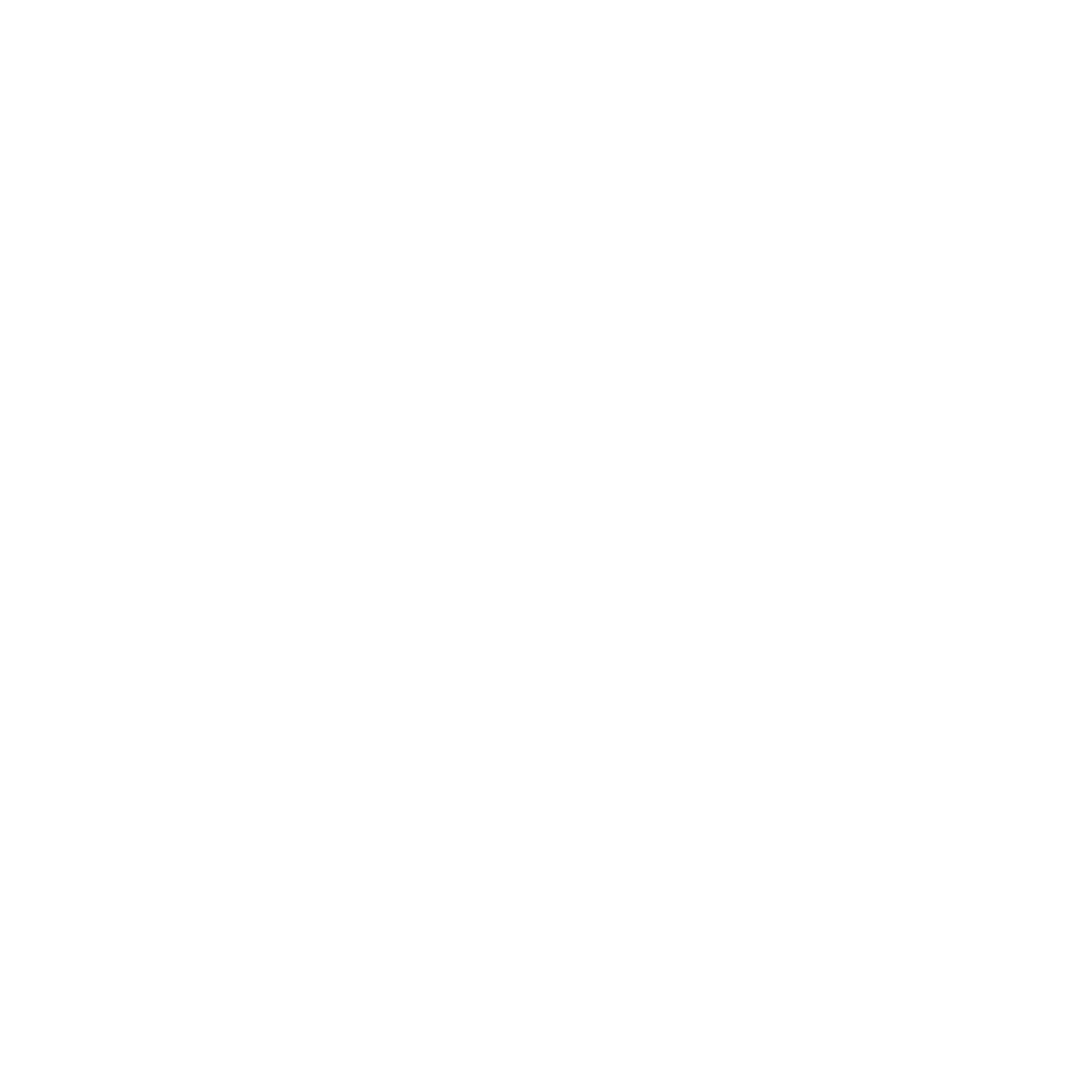 gato midia