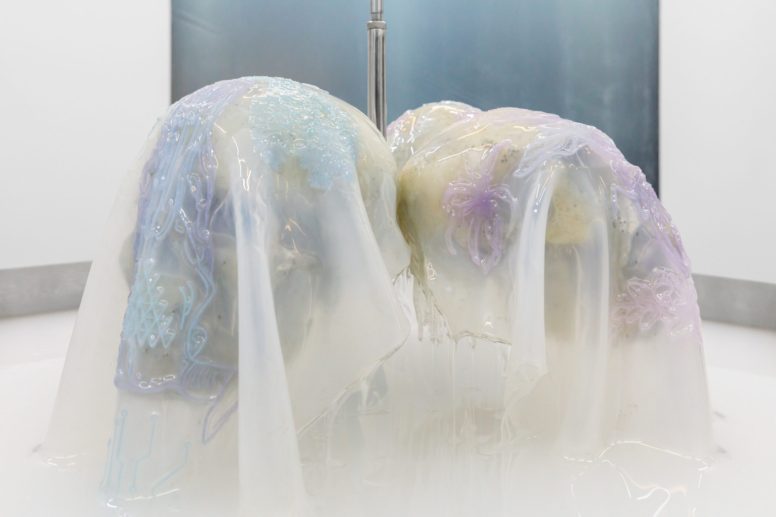 Luna silver public agent