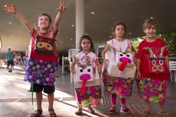 Brinquedo para dançar e encantar: oficina de boizinho