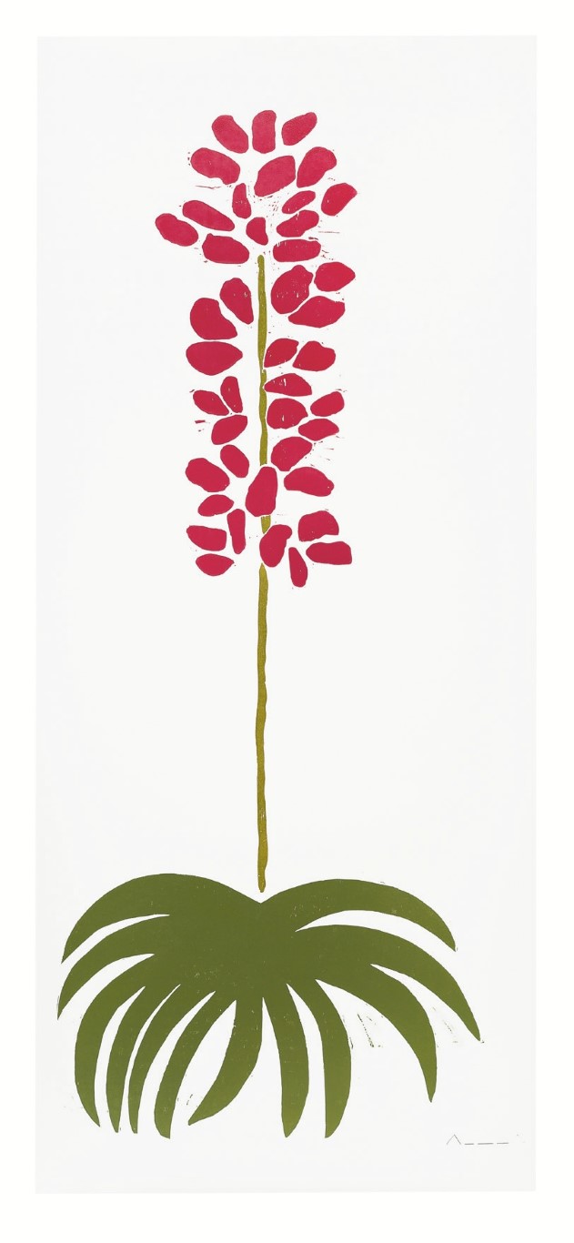Descrição da imagem: xilogravura de uma planta com flor. As folhas são verdes escuras, finas, compridas e se abrem em leque a partir da base da planta. O caule é fino e longo e possui cor verde claro. As flores são vermelhas, pequenas, ovais e dispostas sequencialmente em torno do caule. O fundo é branco. Fim da descrição da imagem.