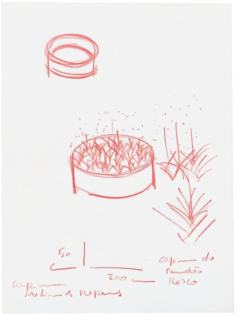 Descrição da imagem: imagem colorida e vertical de um desenho feito em vermelho sobre um fundo branco. A imagem é um estudo de canteiro circular. Na parte superior da imagem, há uma circunferência pequena e, logo abaixo, há uma forma circular maior com diversos riscos verticais no seu interior, indicando a plantação de alguma vegetação neste canteiro. Na parte inferior há anotações de medidas e do nome dessa vegetação, "Melinis repens". Fim da descrição da imagem.