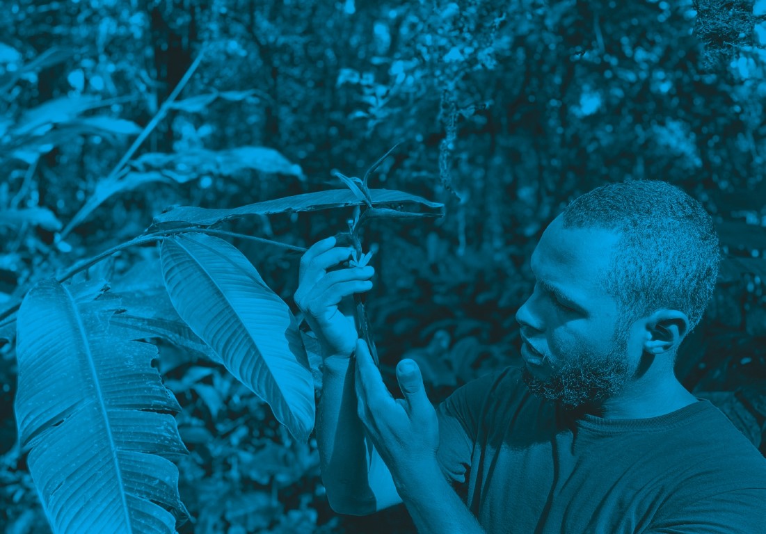 Descrição da imagem: fotografia horizontal colorida com filtro azul. Santídio está em um local com diversas plantas e árvores ao seu redor. Ele está em pé, de perfil para a esquerda, observando uma planta com as mãos. Ele usa camiseta preta. Fim da descrição da imagem.