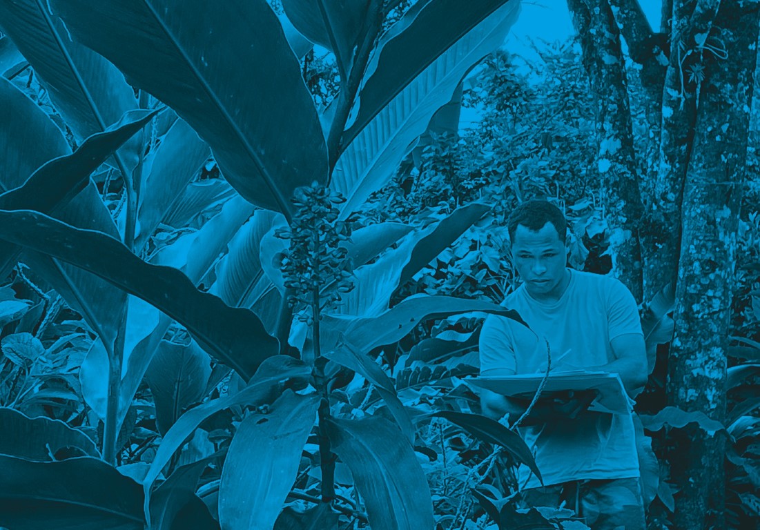 Descrição da imagem: fotografia horizontal colorida com filtro azul. Santídio está em um local de vegetação fechada, com diversas plantas e árvores ao seu redor. Ele está do lado direito da imagem, em pé, de frente para a câmera. Observa uma planta enquanto a desenha com uma prancheta que está em suas mãos. Ele usa uma camiseta clara. Fim da descrição da imagem.