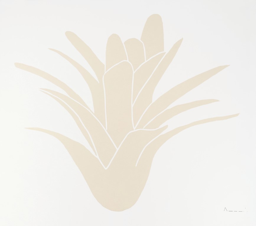 Descrição da imagem: sobre fundo branco, xilogravura centralizada de uma bromélia bege claro. A bromélia possui mais de uma dezena de folhas grandes, compridas e que variam entre pontiagudas ou arredondadas. Elas se abrem para cima, sobrepostas por mais três folhas menores no centro, formando a base. Fim da descrição da imagem.