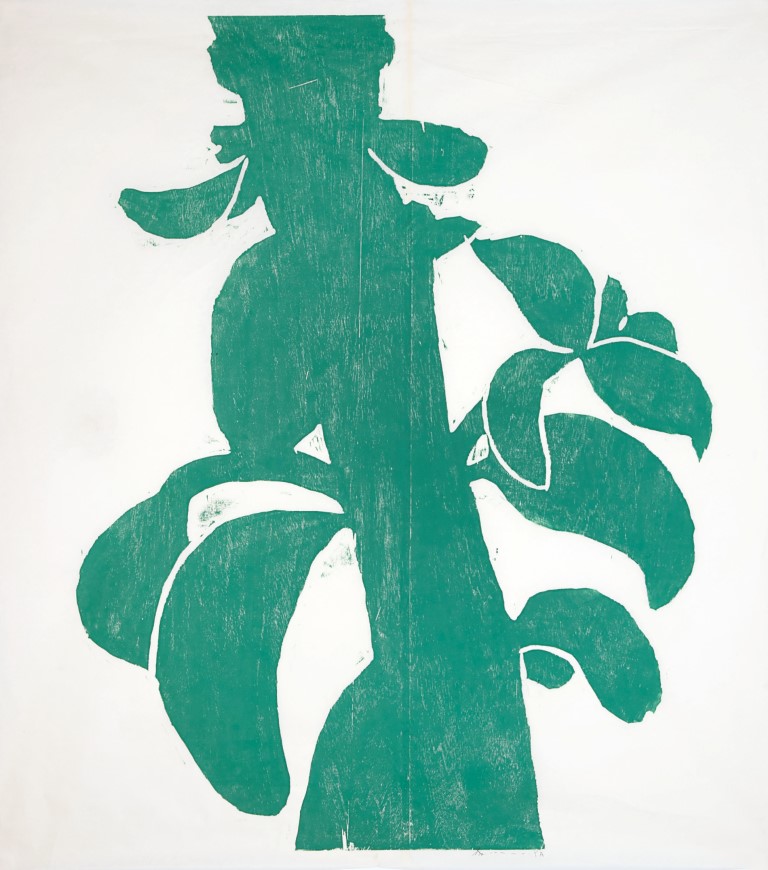 Descrição da imagem: sobre fundo branco, xilogravura centralizada de um caule verde com ramificações de folhas. As folhas são de diversos tamanhos e têm as pontas curvadas para baixo. O caule atravessa centralmente toda a extensão vertical da xilogravura. Fim da descrição da imagem.