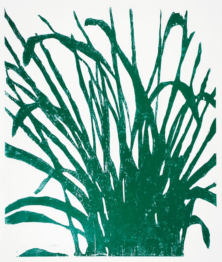 Descrição da imagem: sobre fundo branco, xilogravura centralizada de vegetação verde escura, que se assemelha a um capim alto, com formato irregular, mais densa na parte inferior da imagem e mais esparsa na parte superior. Fim da descrição da imagem.
