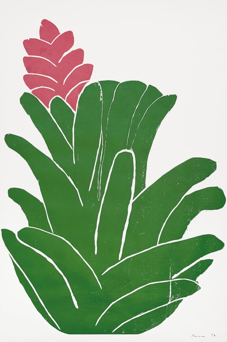 Descrição da imagem: sobre fundo branco, xilogravura centralizada de uma bromélia com flor. As folhas são verdes escuras e se abrem para cima, sobrepondo-se umas as outras. No lado esquerdo superior, saindo da bromélia, há uma flor rosa composta por pétalas sobrepostas. Fim da descrição da imagem.