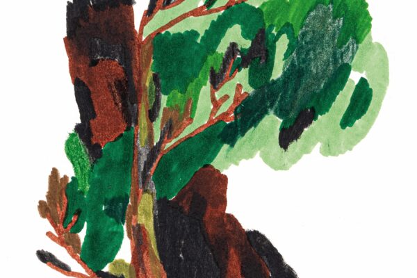 desenho caminhos pela terra