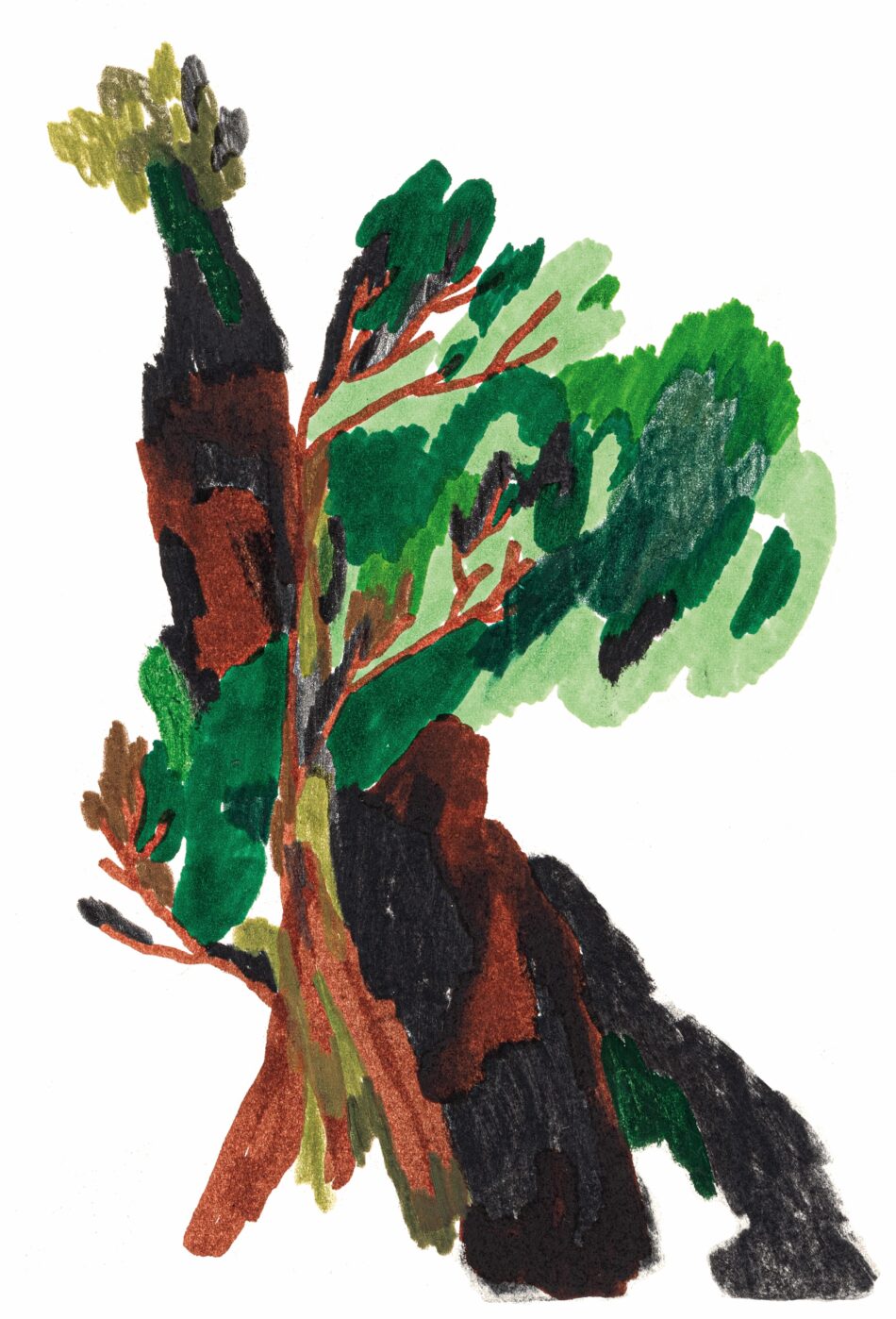 desenho caminhos pela terra