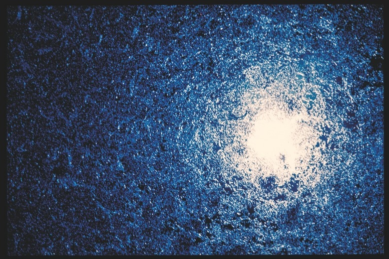 Descrição da imagem: Fotografia horizontal colorida de uma superfície de água iluminada por uma forte luz branca. O ponto de luz está centralizado à direita da imagem, refletido na água, que tem um tom azulado escuro ao redor. A textura da água é granulada. Fim da descrição da imagem.