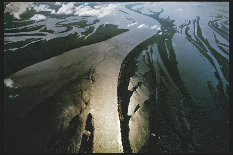 Descrição da imagem: Uma fotografia colorida horizontal e aérea do rio Negro Anavilhanas. Na imagem, o rio se divide em diversos afluentes, criando uma rede de cursos d'água que serpenteiam pela floresta. As águas do rio, sob a luz do sol, assumem tons de marrom e dourado, contrastando com o verde escuro da mata ciliar que margeia as margens dos rios. A imagem evidencia a imensidão e a complexidade de sistema fluvial amazônico. Fim da descrição da imagem.