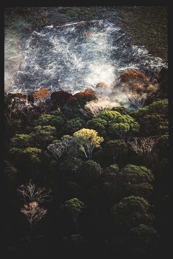 Descrição da imagem: Fotografia colorida vertical. A imagem mostra uma área de desmatamento no meio de uma floresta densa. No topo da imagem, a terra exposta aparece coberta por cinzas e troncos queimados, enquanto fumaça sobe da área desmatada. A parte inferior da imagem exibe a floresta preservada, com copas de árvores verdes e algumas árvores com folhagem alaranjada. Fim da descrição da imagem.