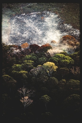 Descrição da imagem: Fotografia colorida vertical. Esta imagem é praticamente idêntica à anterior, mostrando uma área de desmatamento no centro, com troncos queimados e fumaça subindo. A diferença está no enquadramento ligeiramente ajustado. A floresta ao redor mantém copas verdes e algumas árvores de tonalidades laranjas. Fim da descrição da imagem.
