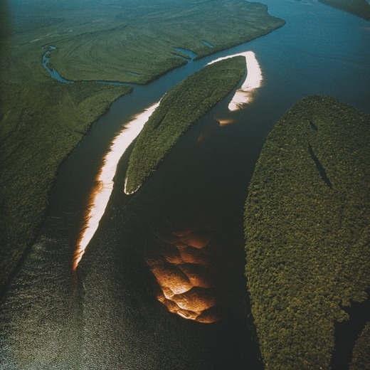 Descrição da imagem: Fotografia colorida quadrada. A imagem mostra um rio sinuoso cercado por ilhas cobertas por vegetação densa. O reflexo do sol na água cria um brilho intenso ao longo das margens das ilhas, com áreas mais escuras no centro do rio. O verde das florestas contrasta com o azul escuro da água, enquanto a luz ilumina partes específicas da cena. Fim da descrição da imagem.