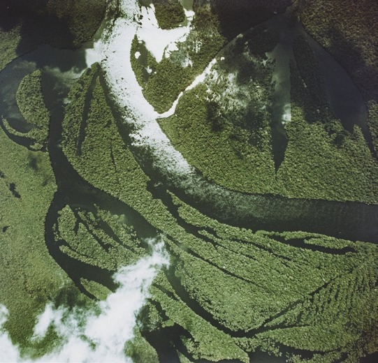 Descrição da imagem: Fotografia colorida quadrada. A imagem mostra uma vista aérea de uma área fluvial cercada por vegetação densa. A água do rio serpenteia entre as ilhas cobertas de floresta verde escura. Há reflexos de luz que destacam algumas partes do rio, e nuvens brancas parcialmente tampam a vista. Fim da descrição da imagem.