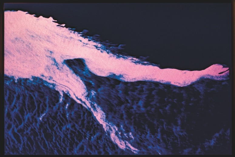 Descrição da imagem: Fotografia colorida horizontal de uma área de água escura com uma faixa de espuma rosada, que parece estar se movendo sobre a água. O contraste entre o rosa claro da espuma e o azul escuro da água. Fim da descrição da imagem.