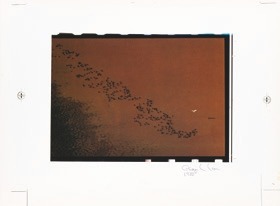 Descrição da imagem: Imagem colorida e horizontal. Uma fotografia de um bando de pássaros voando em formação, vista de cima, sobre um fundo marrom que pode ser um corpo de água de um grande rio. No canto inferior direito, há uma assinatura de "George L. Love, 1978". A imagem está centralizada em uma moldura branca, com bordas visíveis ao redor. Fim da descrição da imagem.