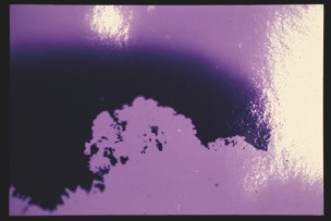 Descrição da imagem: Fotografia colorida e horizontal com predominância de tons roxos e lilás. A imagem mostra uma textura irregular em alto contrate de uma silhueta de árvores, na qual ela está mais clara e ao redor está uma mancha escura. Na parte superior da imagem tem um brilho forte de reflexo de luz. Fim da descrição da imagem.