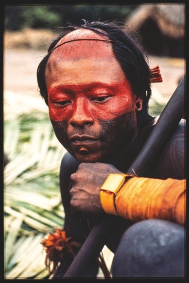 Descrição da imagem: Fotografia colorida vetical. A imagem mostra um jovem do povo Xikrin, da Amazônia. Seu rosto está pintado com tinta vermelha e preta, e ele segura um grande bastão. A pintura facial cobre a parte superior do rosto e parte da cabeça raspada, enquanto o restante do cabelo está amarrado para trás da cabeça. Ele usa bracelete amarelo. O resto do corpo também está pintado de tinta preta. Ao fundo, desfocadas, folhas de palmeira e uma habitação de palha são visíveis. Fim da descrição da imagem.