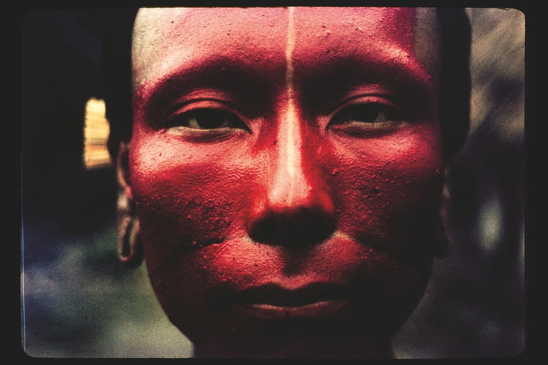 Descrição da imagem: Fotografia colorida vetical. Retrato frontal de uma pessoa do povo Xikrin, da Amazônia. Seu rosto está pintado de vermelho, com apenas uma fina linha vertical, que vai da testa até o nariz, sem pintura. A expressão do rosto é serena, com os olhos finos e abertos. As orelhas têm adornos visíveis. O fundo está desfocado. Fim da descrição da imagem.