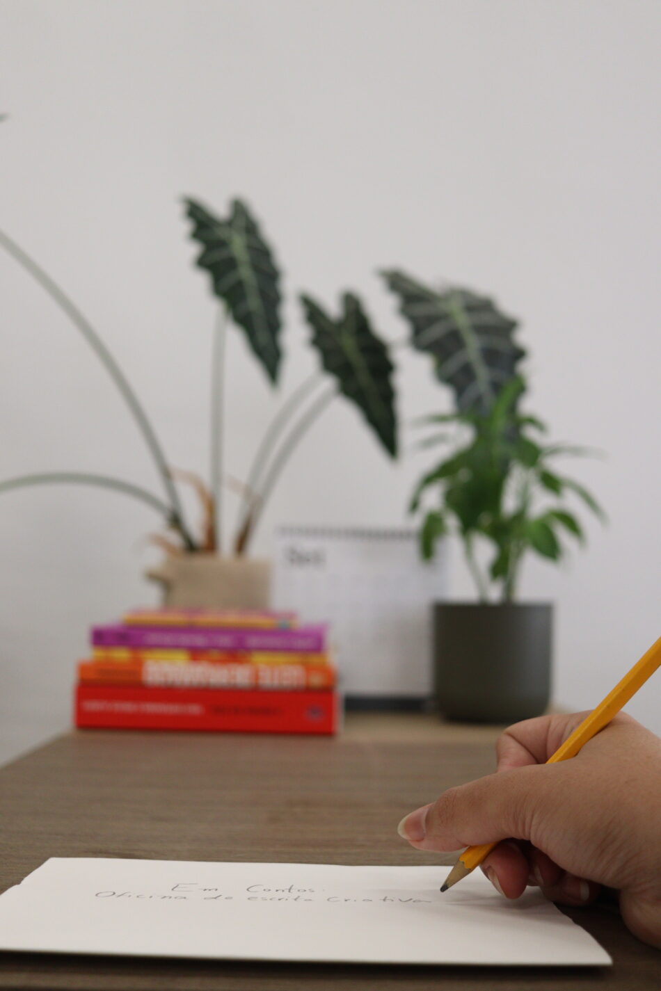 Em Contos – Curso de escrita criativa